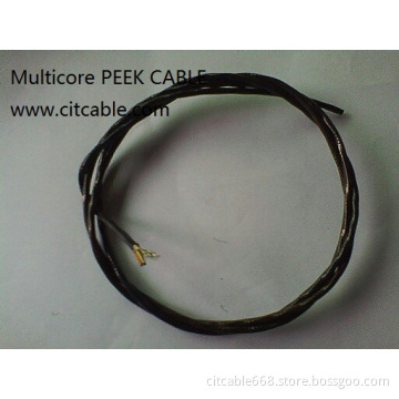 Multicore PEEK CABLE